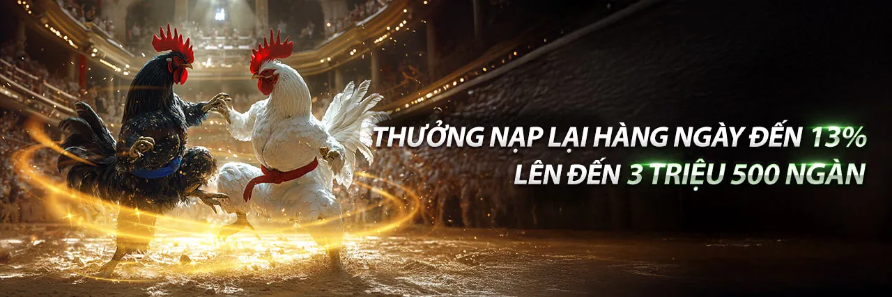 Đá gà trực tuyến kclub link mới 2026 với các trận đấu sôi động
